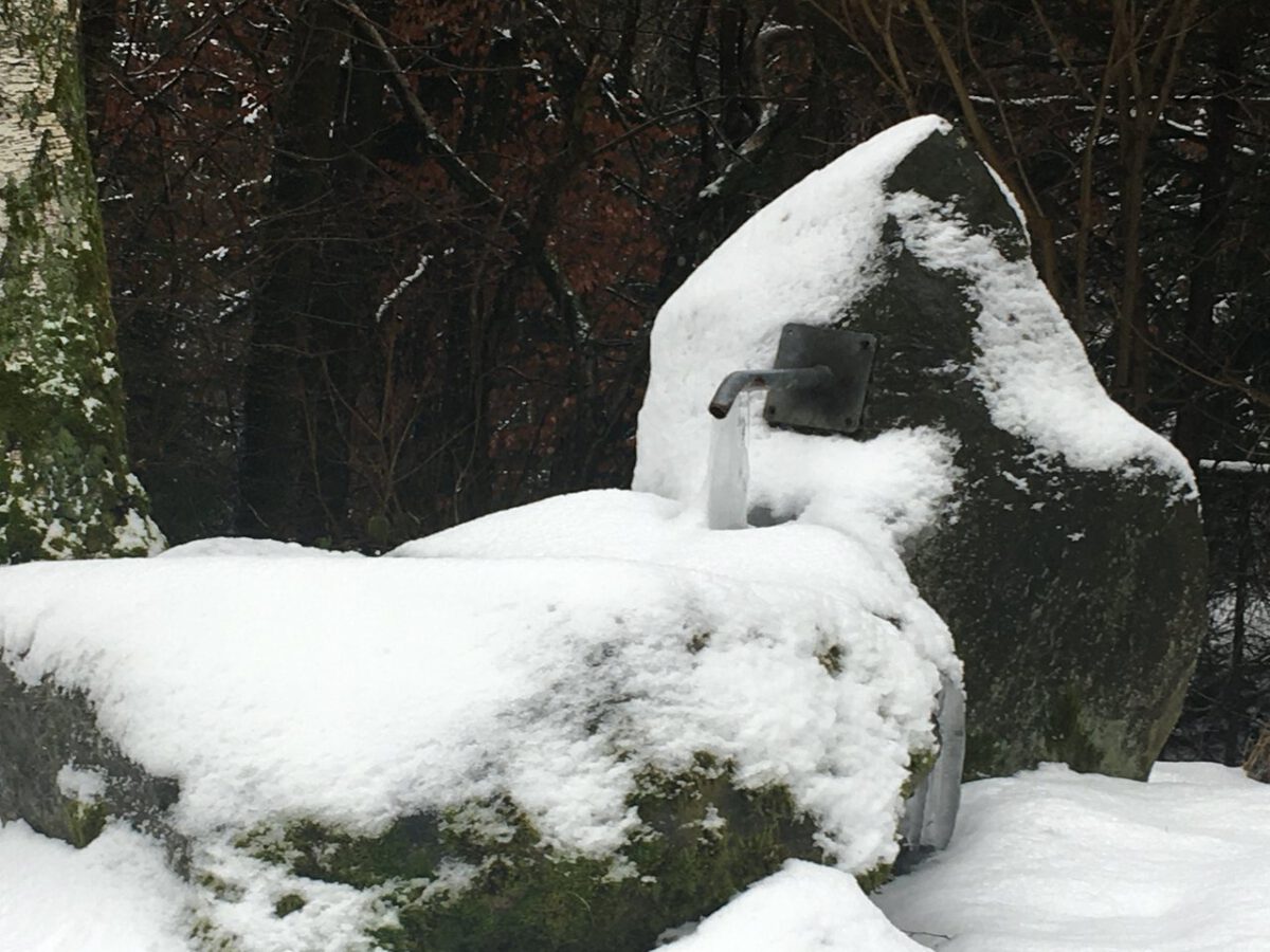 Winter am Fischerberg