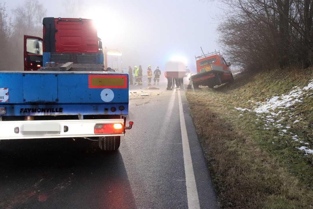 Reh verursacht schweren Unfall auf B299