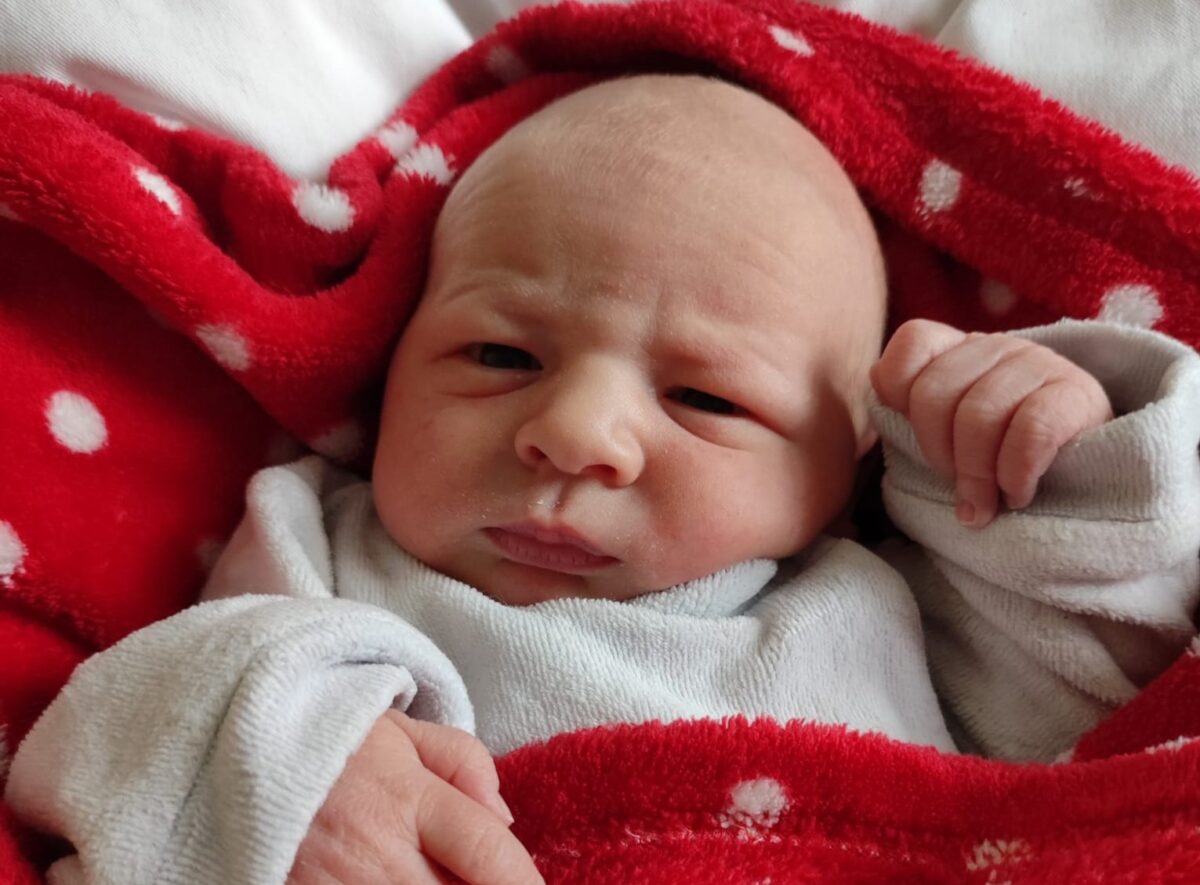 Babys 2022: Kalenderwoche 11