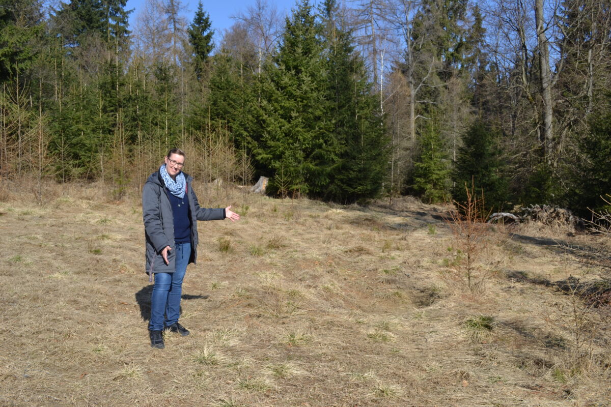 Es wird konkret mit den Windrädern im Hessenreuther Wald
