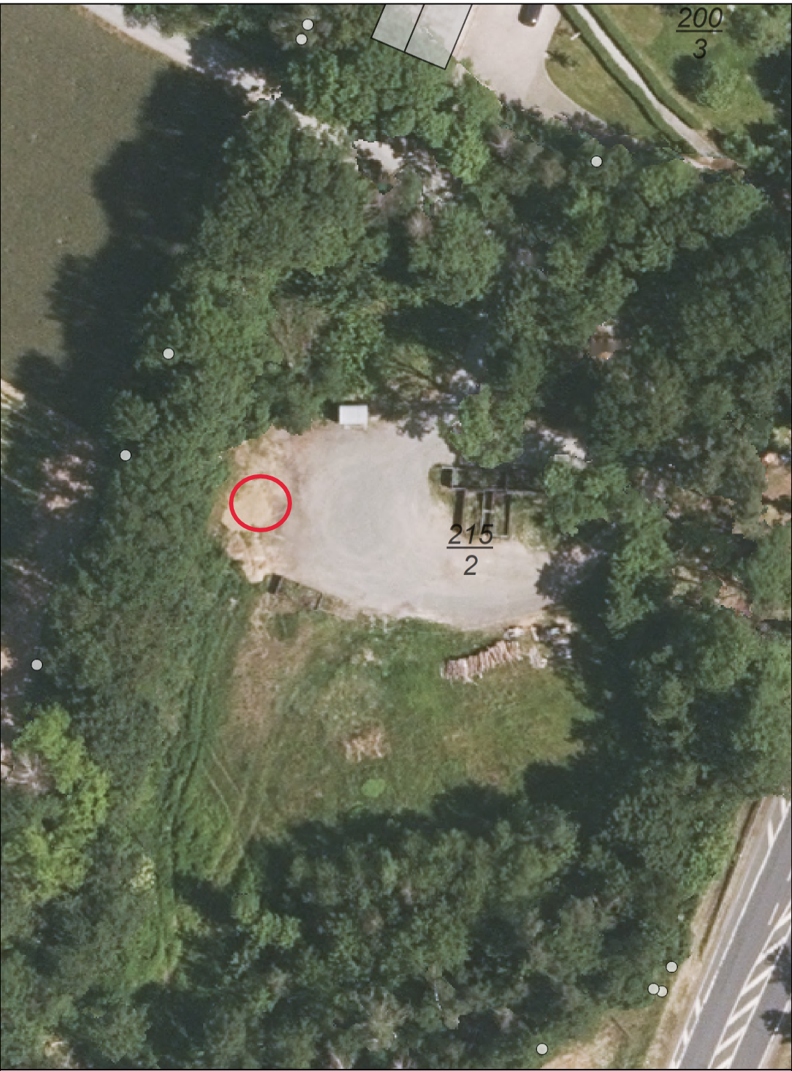 Holziger Gartenabfall für Strom- und Wärmeerzeugung