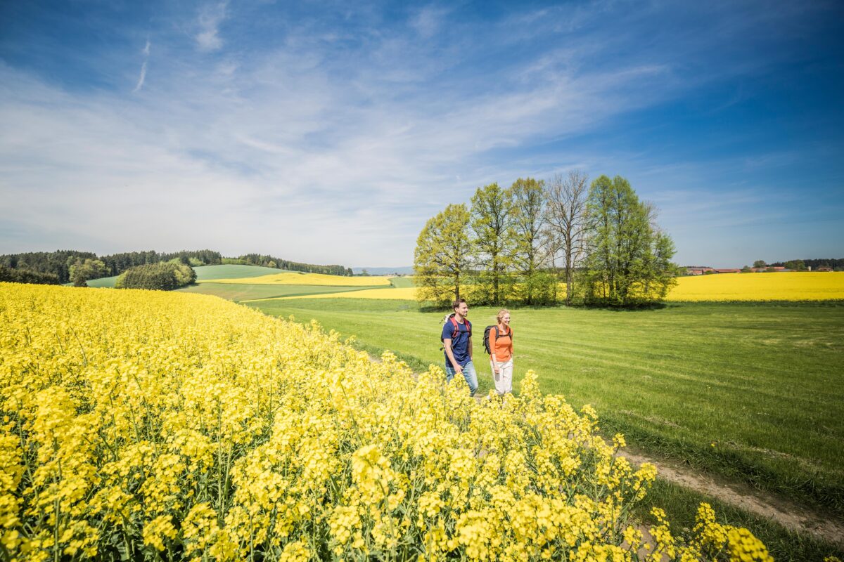 Familienwandertag feiert 900 Jahre Vohenstrauß