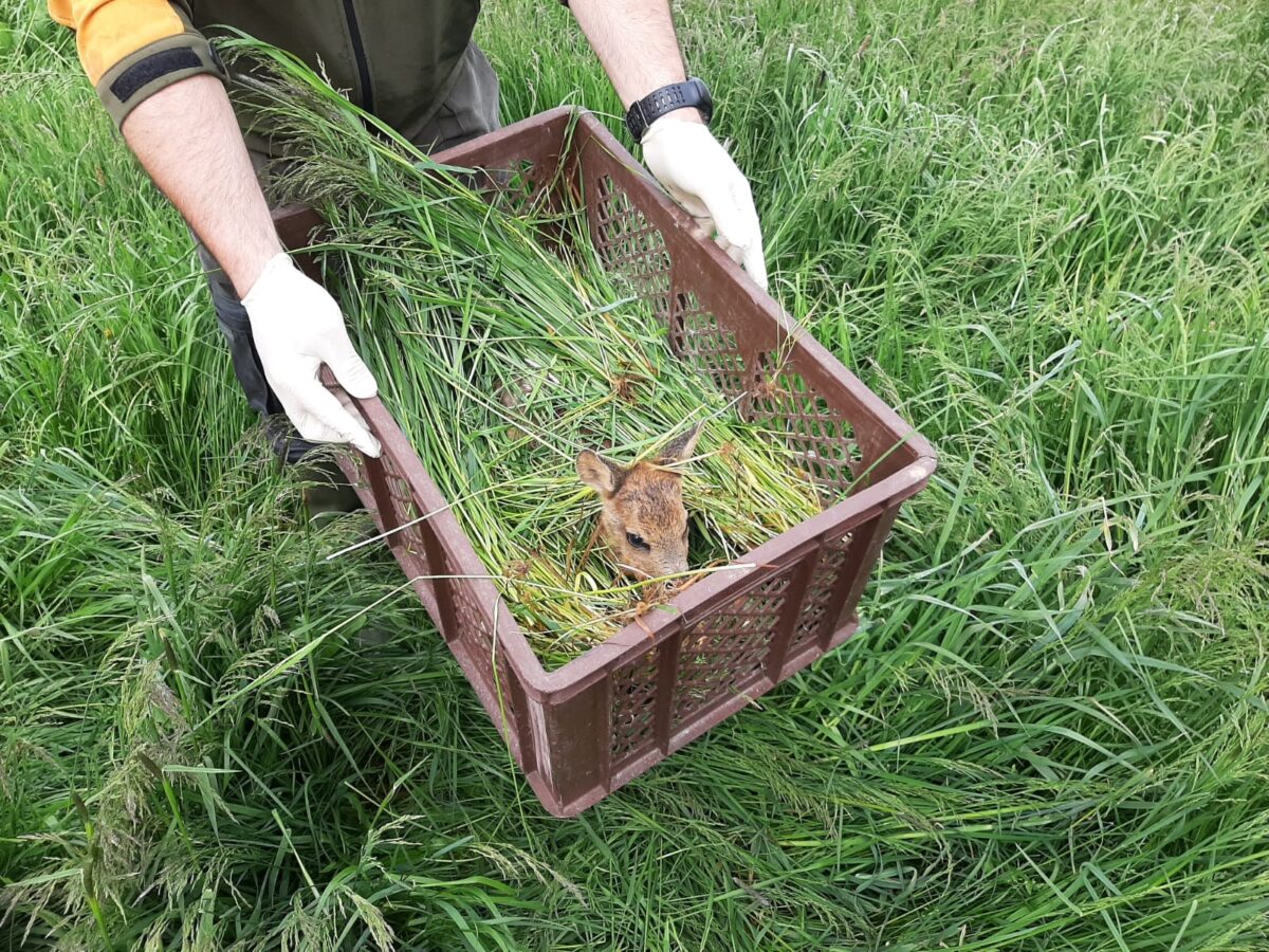 Mitgliederversammlung: Rehkitzrettung zieht Bilanz und blickt nach vorne