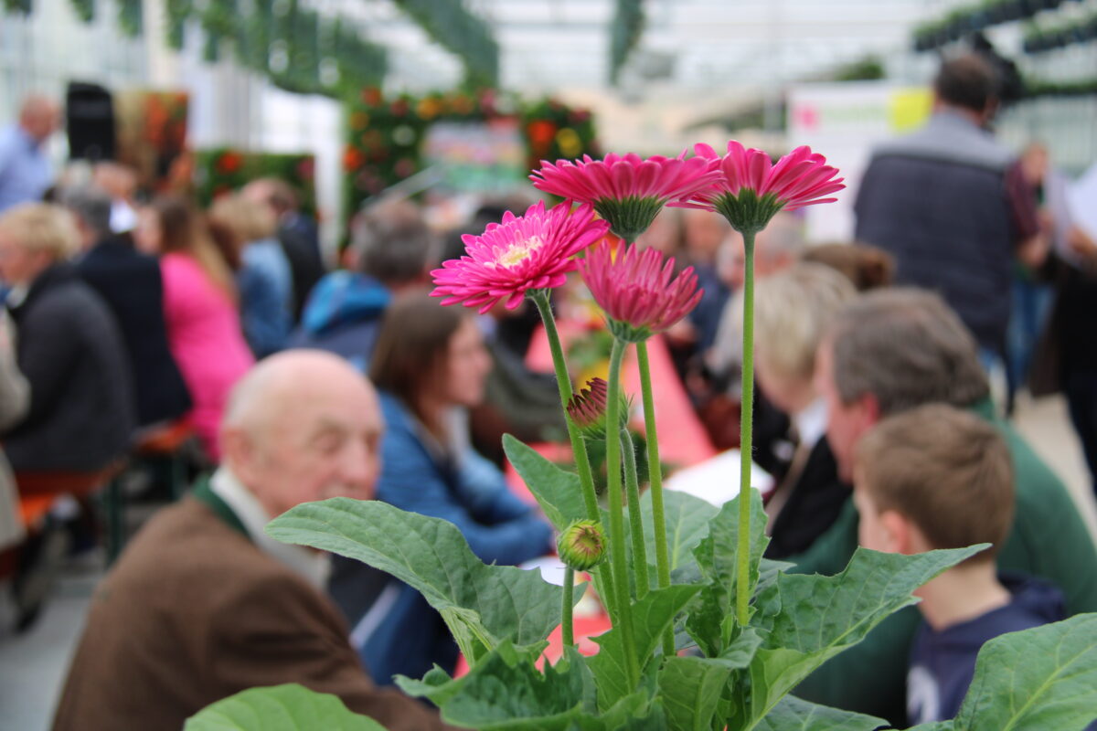 Gärtnerei Steinhilber lädt am Sonntag zu einem zweiten „Tag der Gärtnereien“ ein