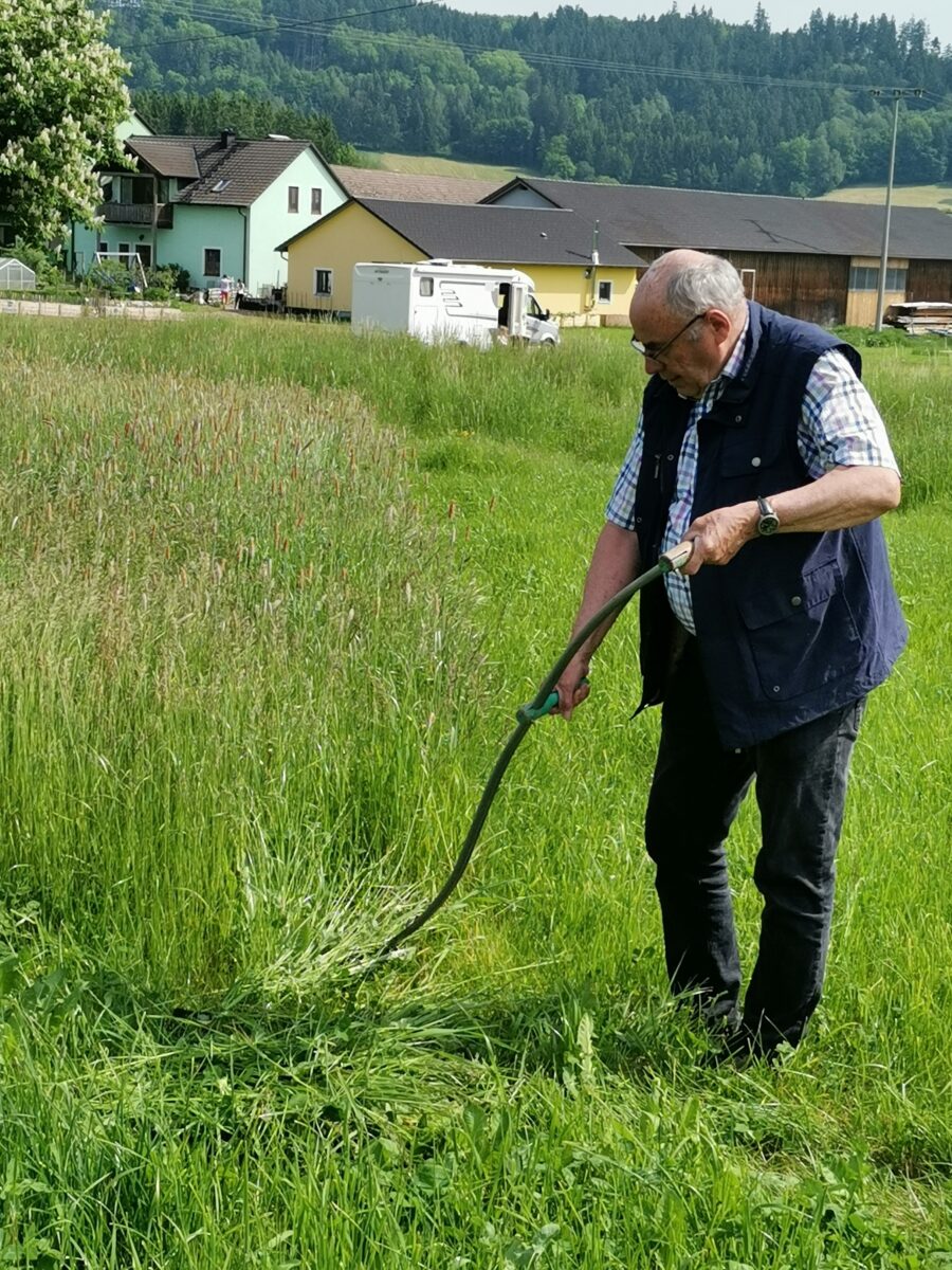 Wissen weitergeben: Ludwig Wiedenhofer gibt Sensenkurs für Anfänger