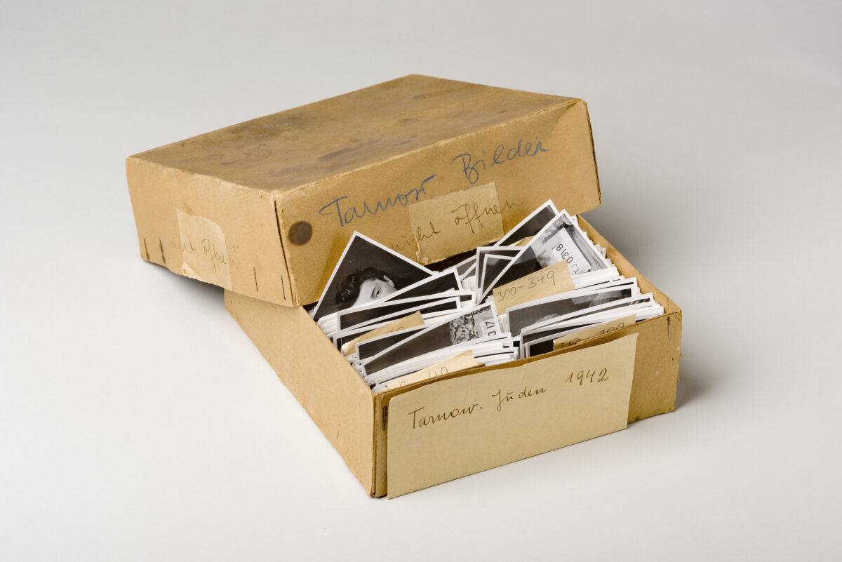 "Der kalte Blick": Ausstellung über Wissenschaftsverbrechen in KZ Flossenbürg