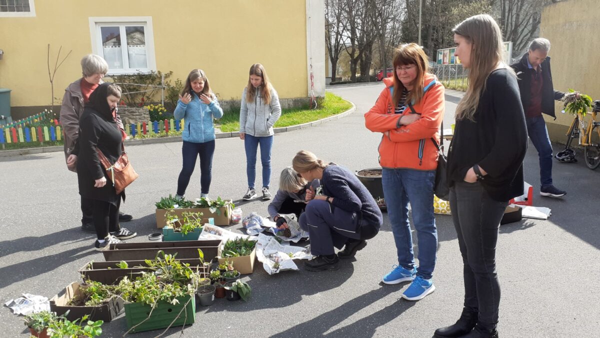 Pflanzentauschbörse: Pflanzen und Wissen austauschen
