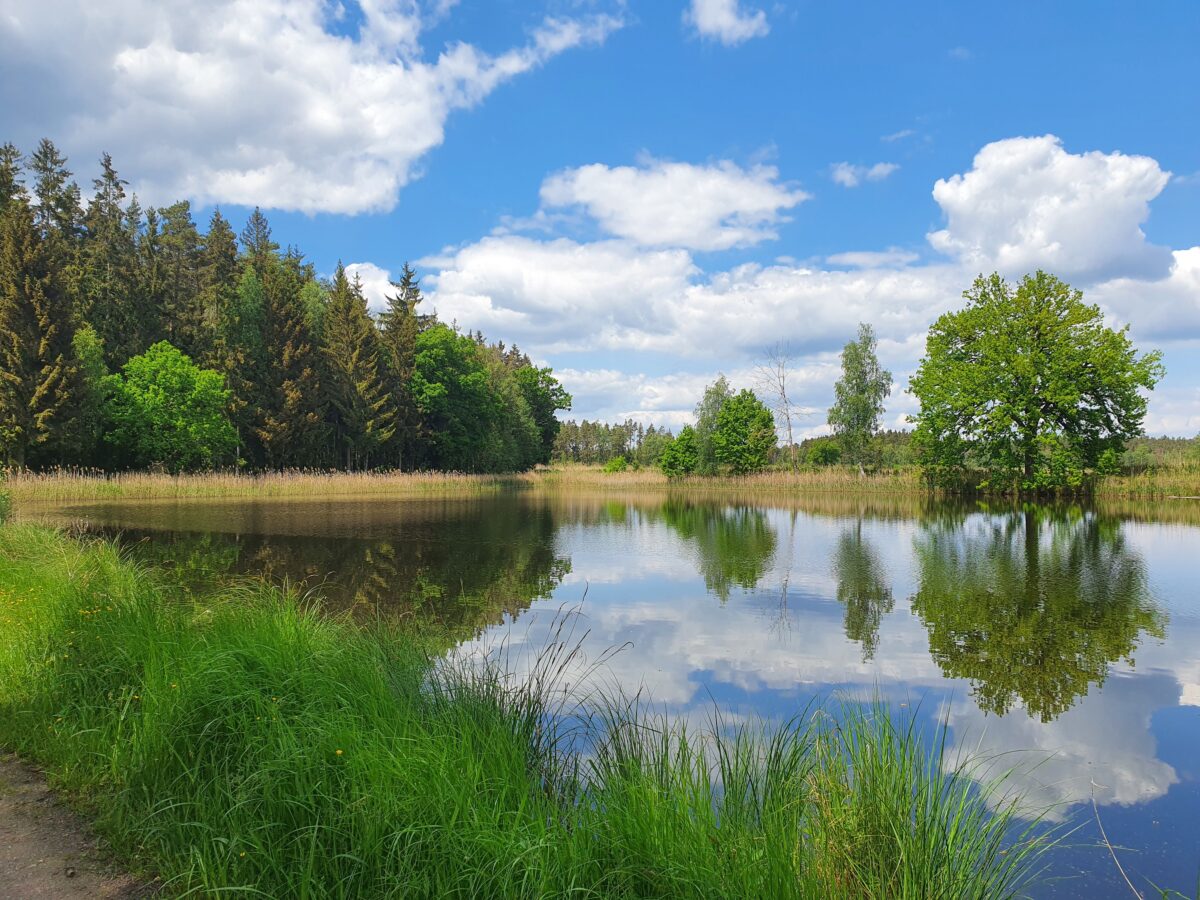 Geführte Radltour rund um Tirschenreuth am 1. Juli