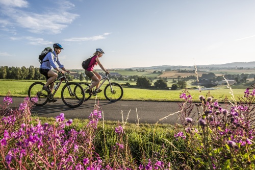 Geschichte, Genuss, Natur und Kultur auf 500 Kilometern