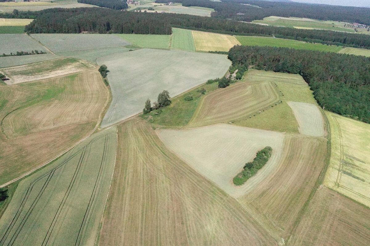 Viel Diskussionsbedarf im Marktgemeinderat