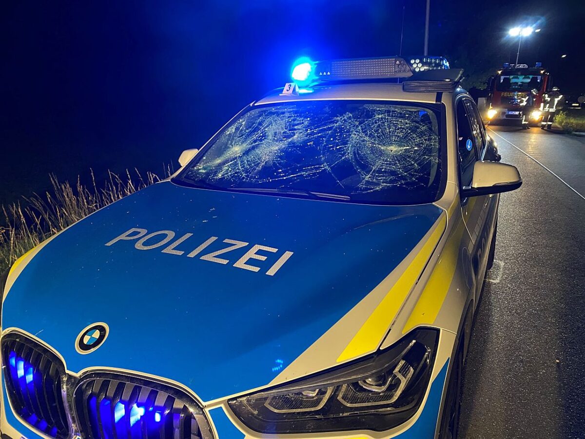 Polizisten mussten zur Waffe greifen