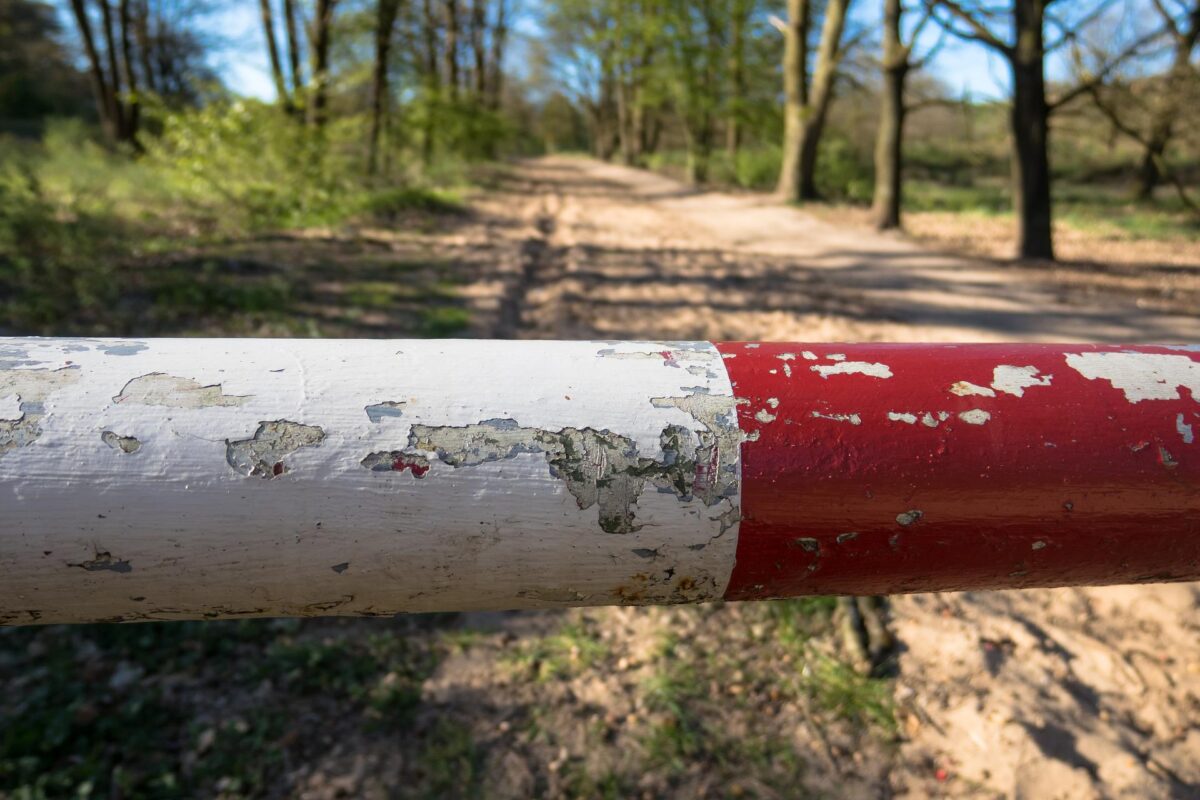 Doppelausstellung verbindet Bayern und Böhmen in Weiden und Pilsen