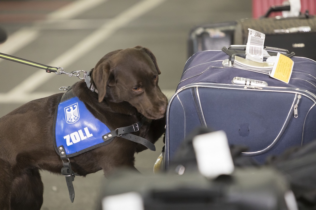 So bleibt die Rückkehr aus dem Urlaub stressfrei