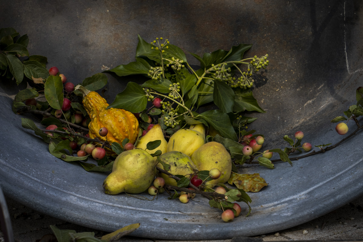 Zweiter Erntedankmarkt begeistert in Neustadt/WN