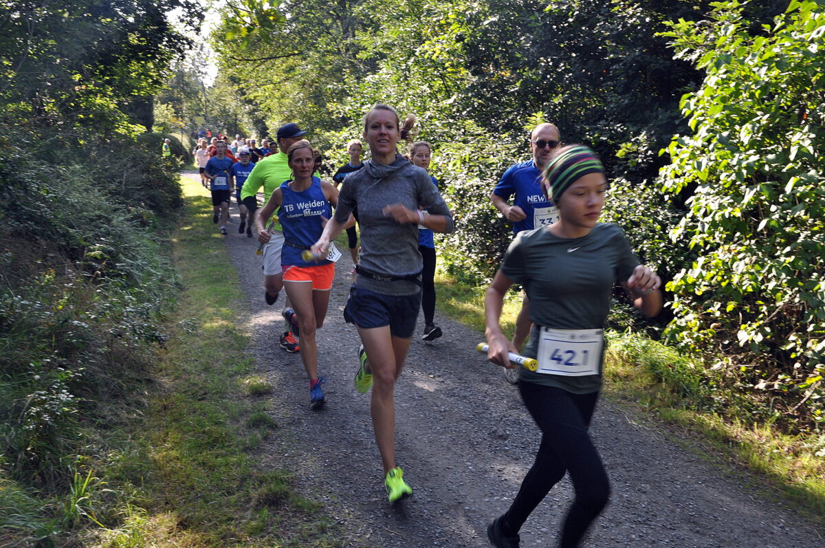 Jetzt schnell anmelden zum NEW-Landkreislauf