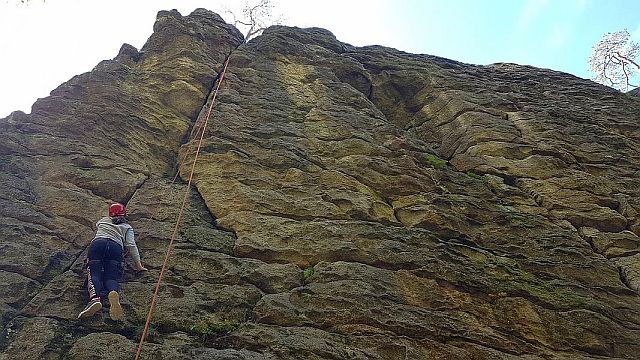 Mutige Kids wollen hoch hinaus beim Steinwaldkraxeln