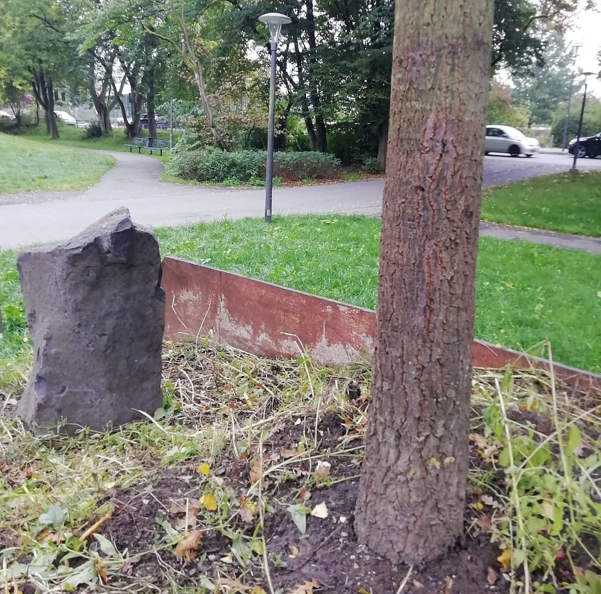 Eine Eiche zu Ehren von Joseph Beuys