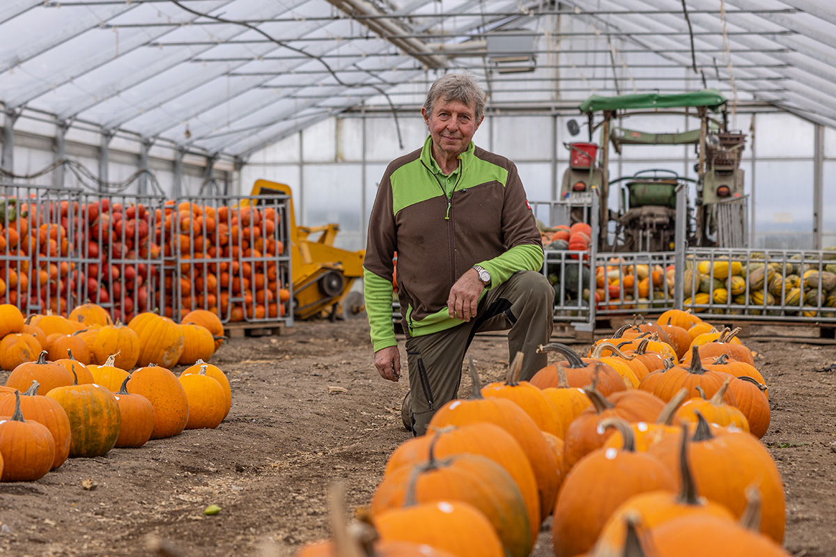 Halloween-Special rund um den Kürbis: Besuch beim Kartoffel- und Gemüsehof Grillmeier