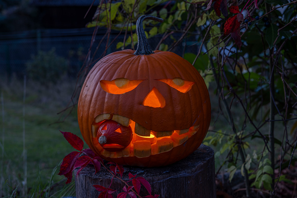 Halloween: "Für mich schon immer ein unvergessliches Kindheitserlebnis"