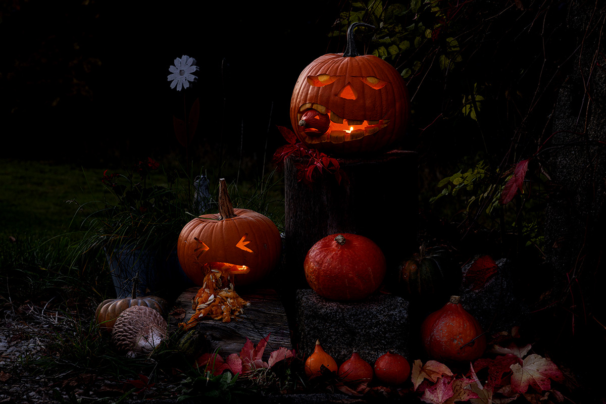 Halloween – die Nacht, in der Erinnerungen erwachen