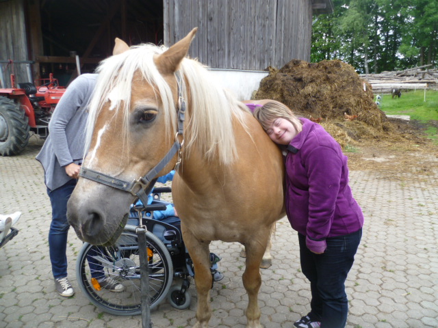 Soziale Landwirtschaft auf dem eigenen Bauernhof