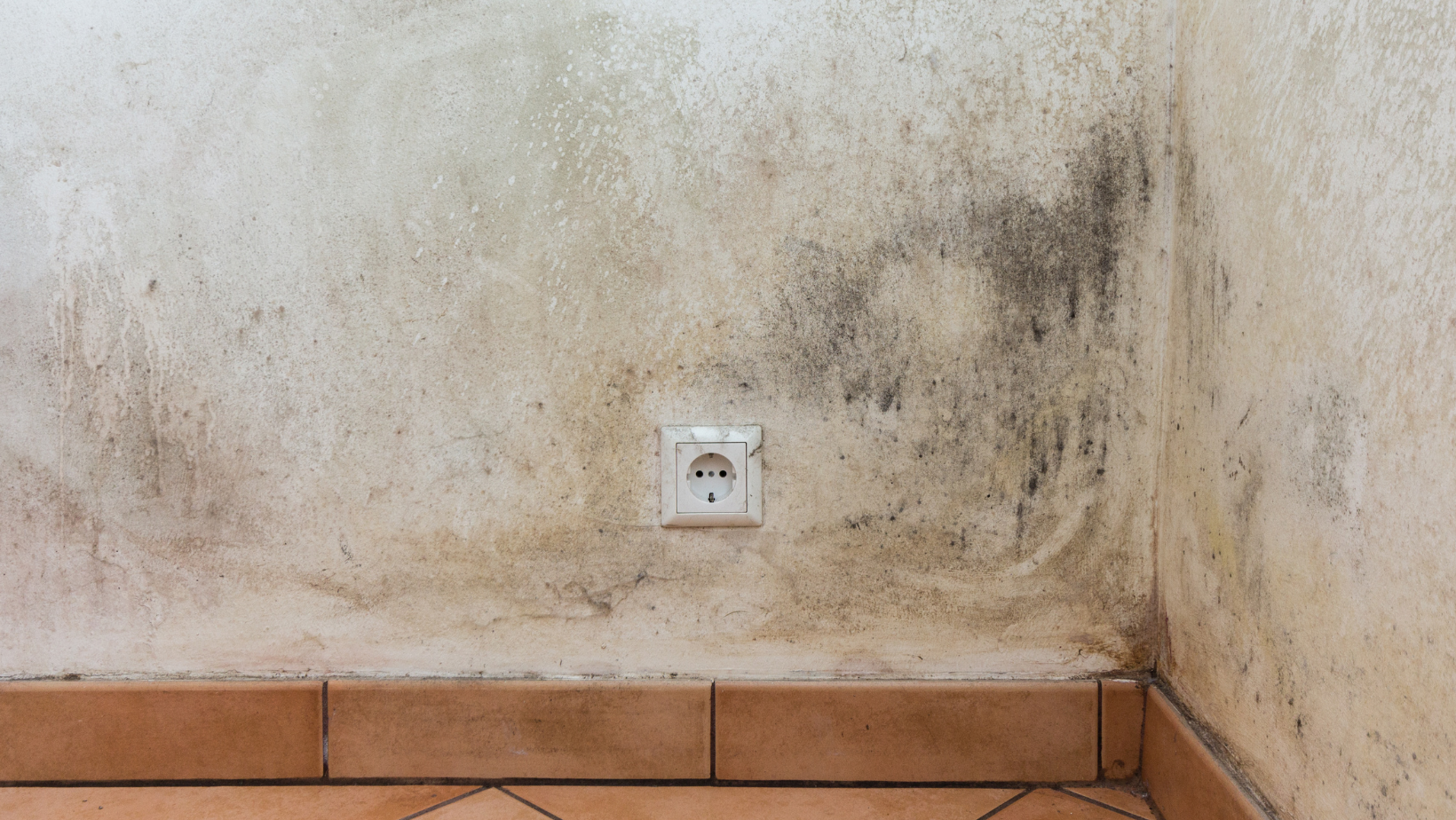 Das regelmäßige Lüften nicht vergessen