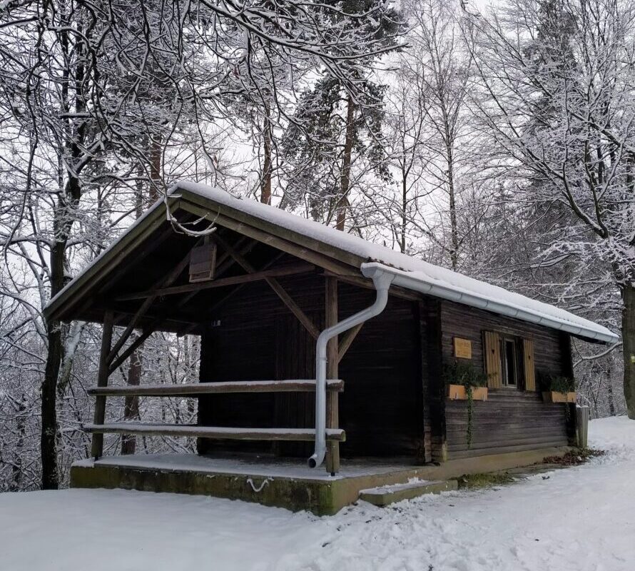 Sogar das Christkindl kommt zum Ersten Tännesberger Weihnachtszauber