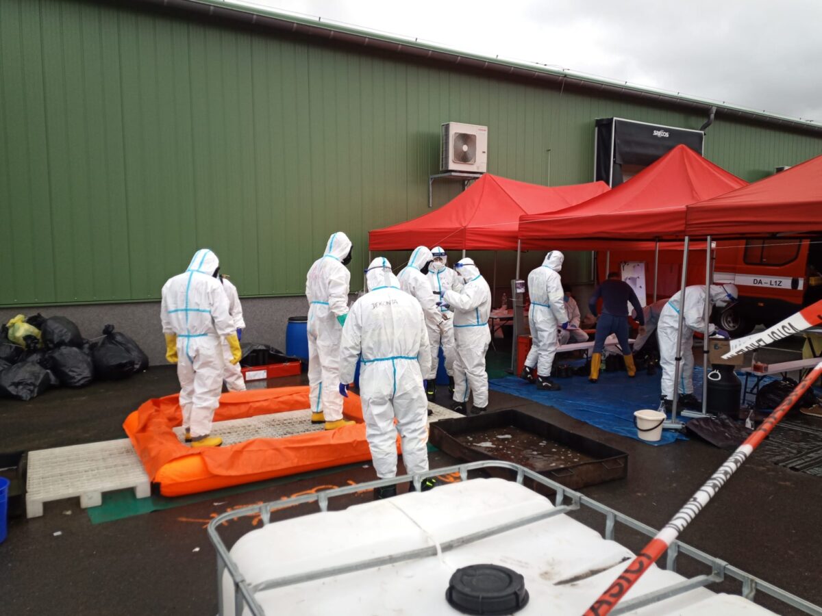 Geflügelpest in Tschechien: Großangelegte Keulung