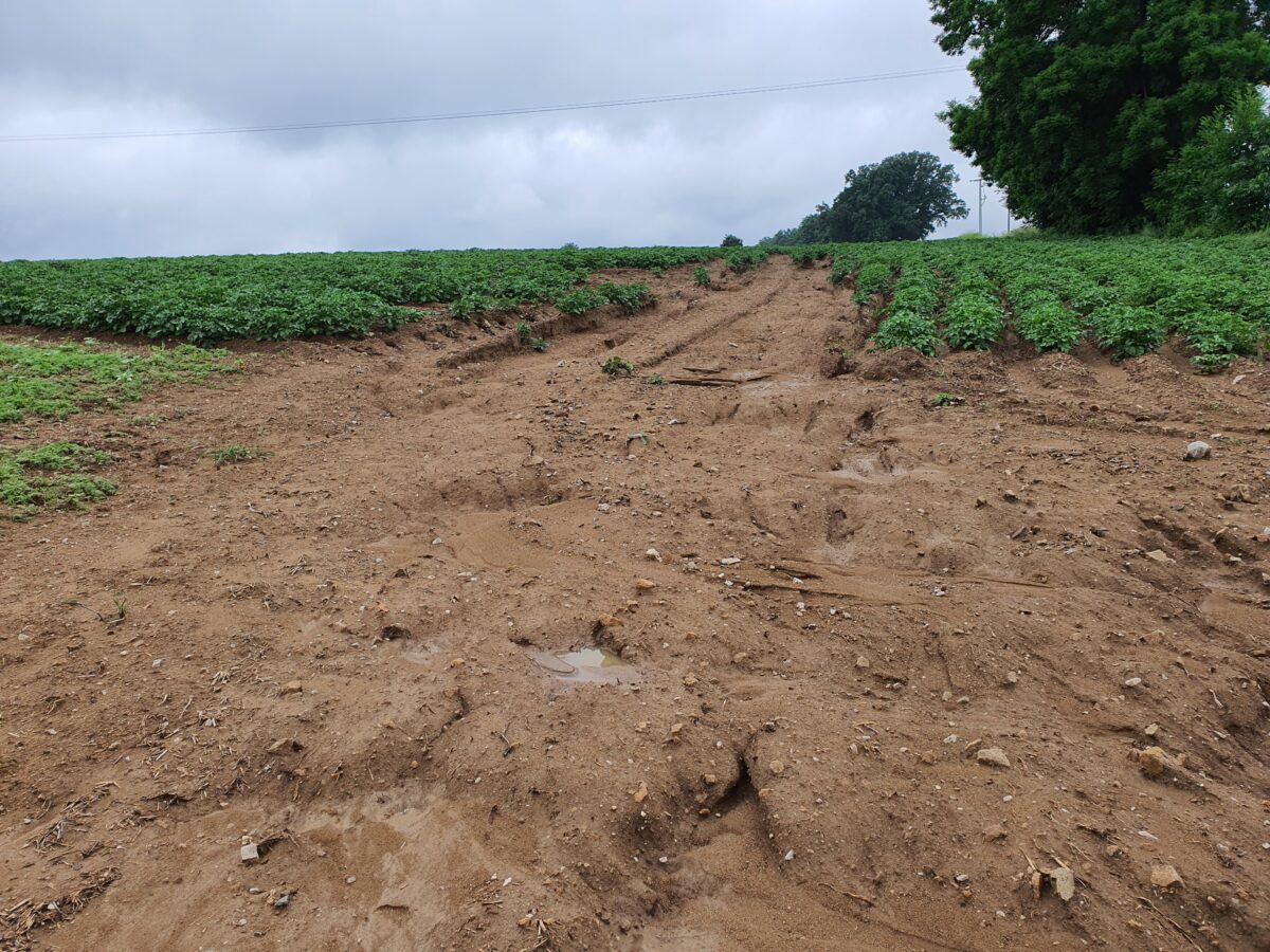 Der Bezirk nimmt den Klimaschutz ernst