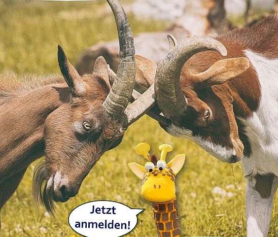 Vorlesestunde in der Regionalbibliothek: Streiten und Vertragen