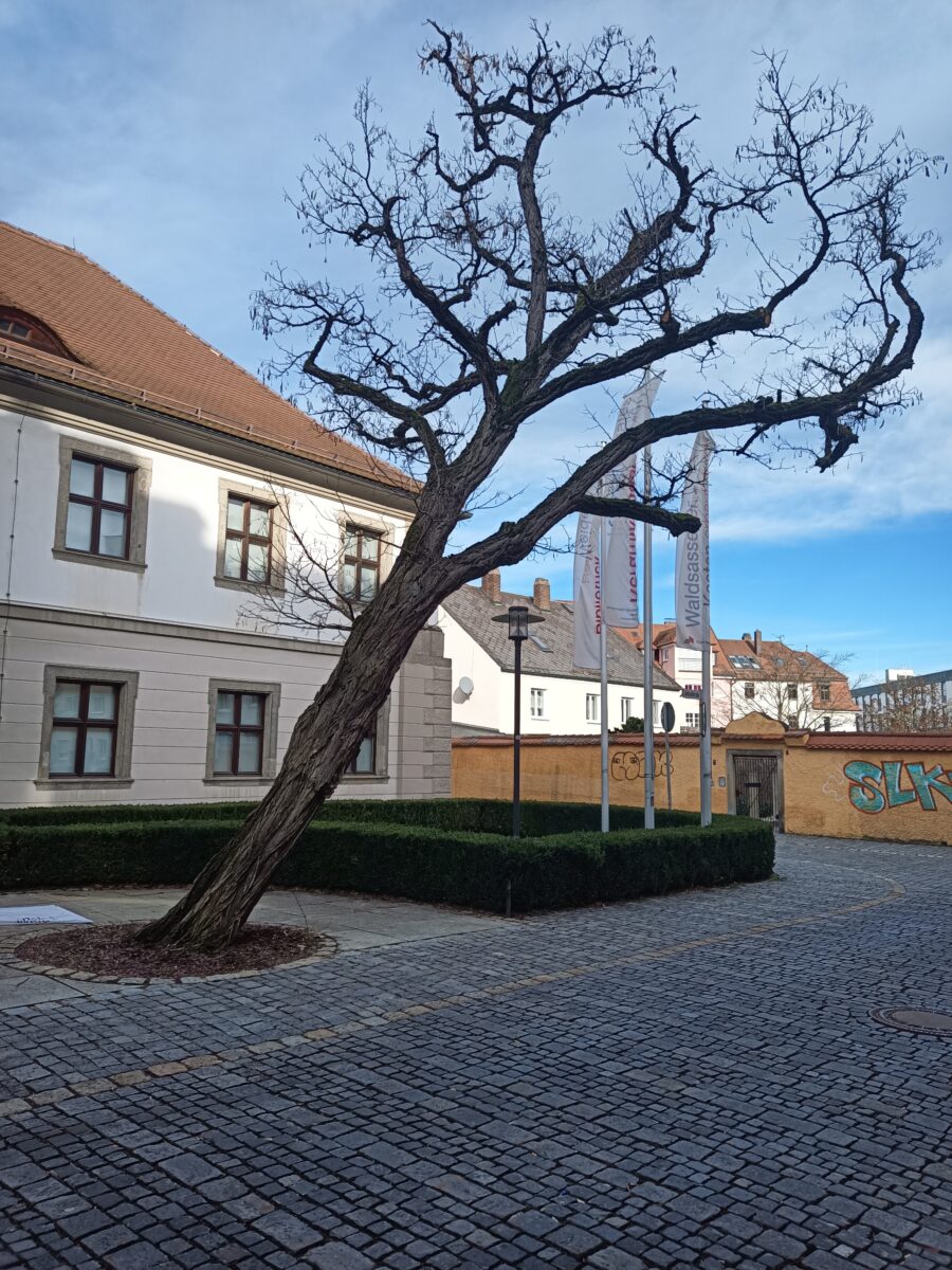 Weltkeramik aus rund 7.000 Jahren – Kurzführung im Keramik-Museum