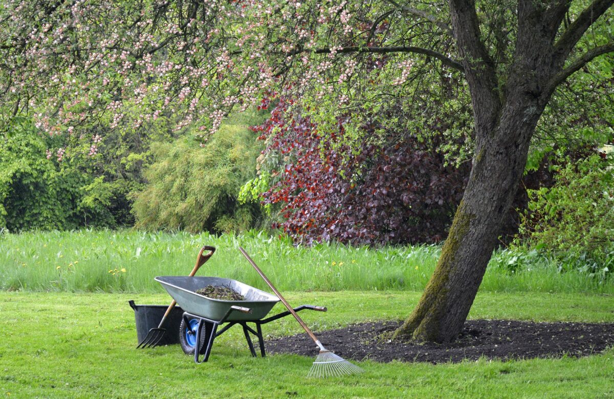 Grundkurs Gartenpflege 2025 in Tirschenreuth geplant