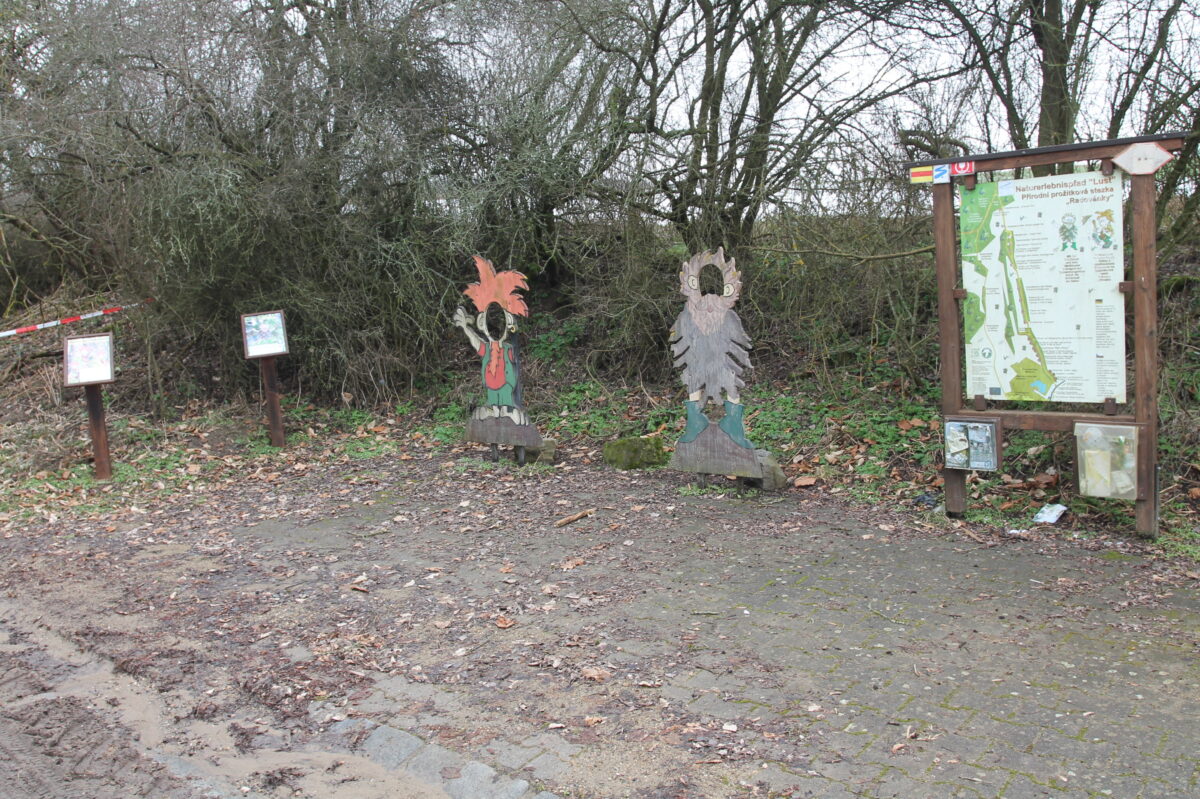 Viele Themen in der Marktgemeinderatssitzung effektiv bearbeitet