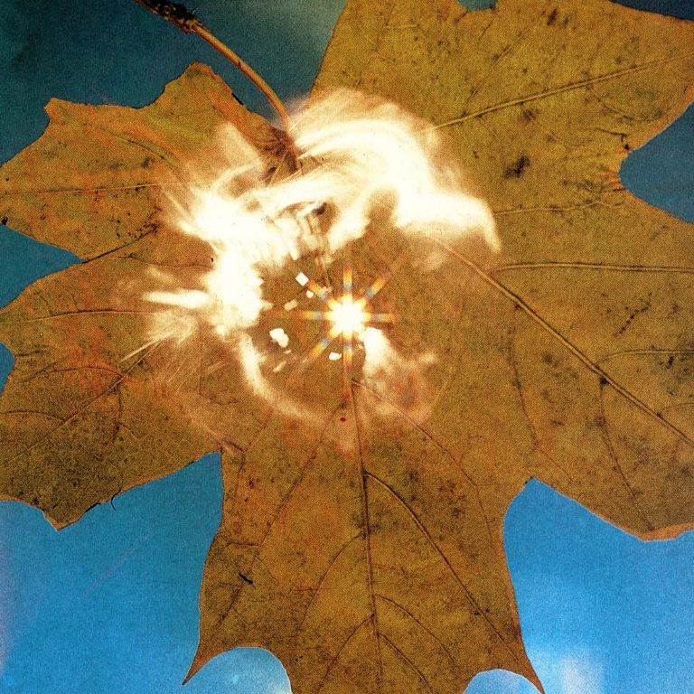 Schobers Rock-Kolumne: Von Cabrio-Pop über Free-Jazz zu grantelnden Briten