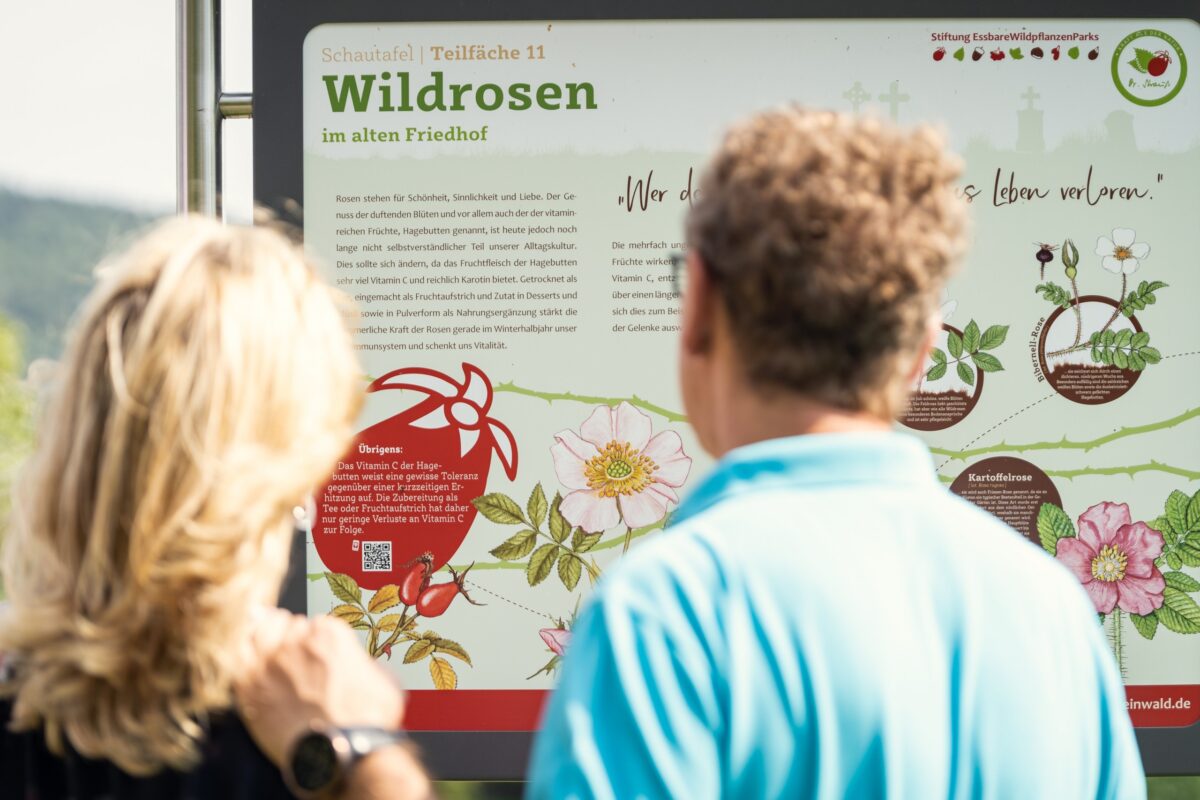 Ziel 15 der nachhaltigen Entwicklung - Leben an Land