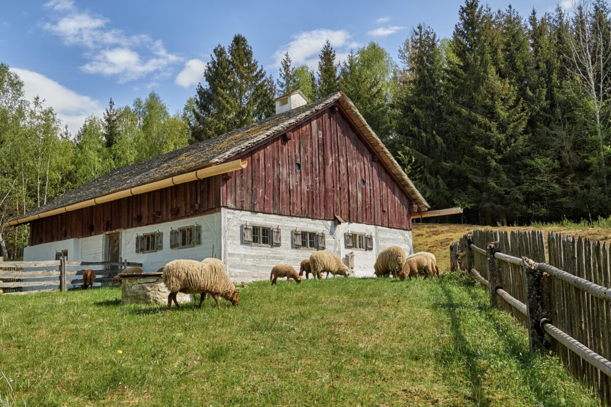 Willkommen &amp; hereinspaziert ins Freilandmuseum Oberpfalz