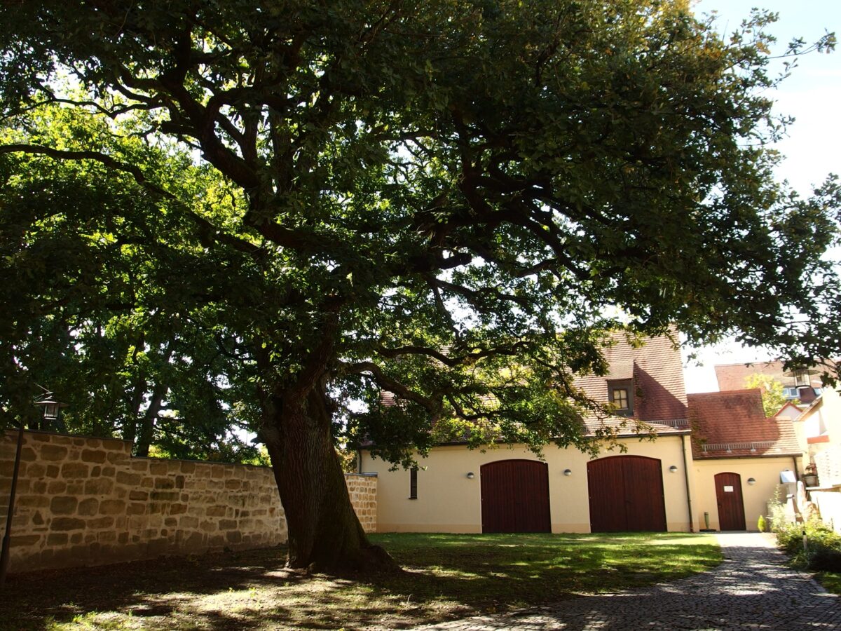 Stadtrat Grafenwöhr: Wunschtermin bei der Hochzeit nicht immer einfach