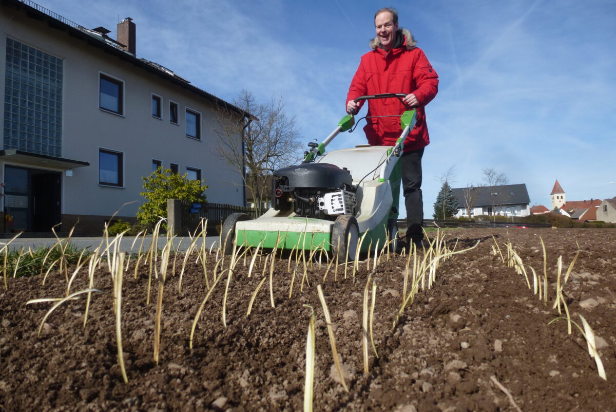 April, April: Pfarrer erntet jetzt schon sein eigenes Weißkraut
