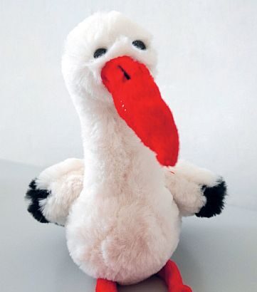 Die Kindergesundheit im Fokus