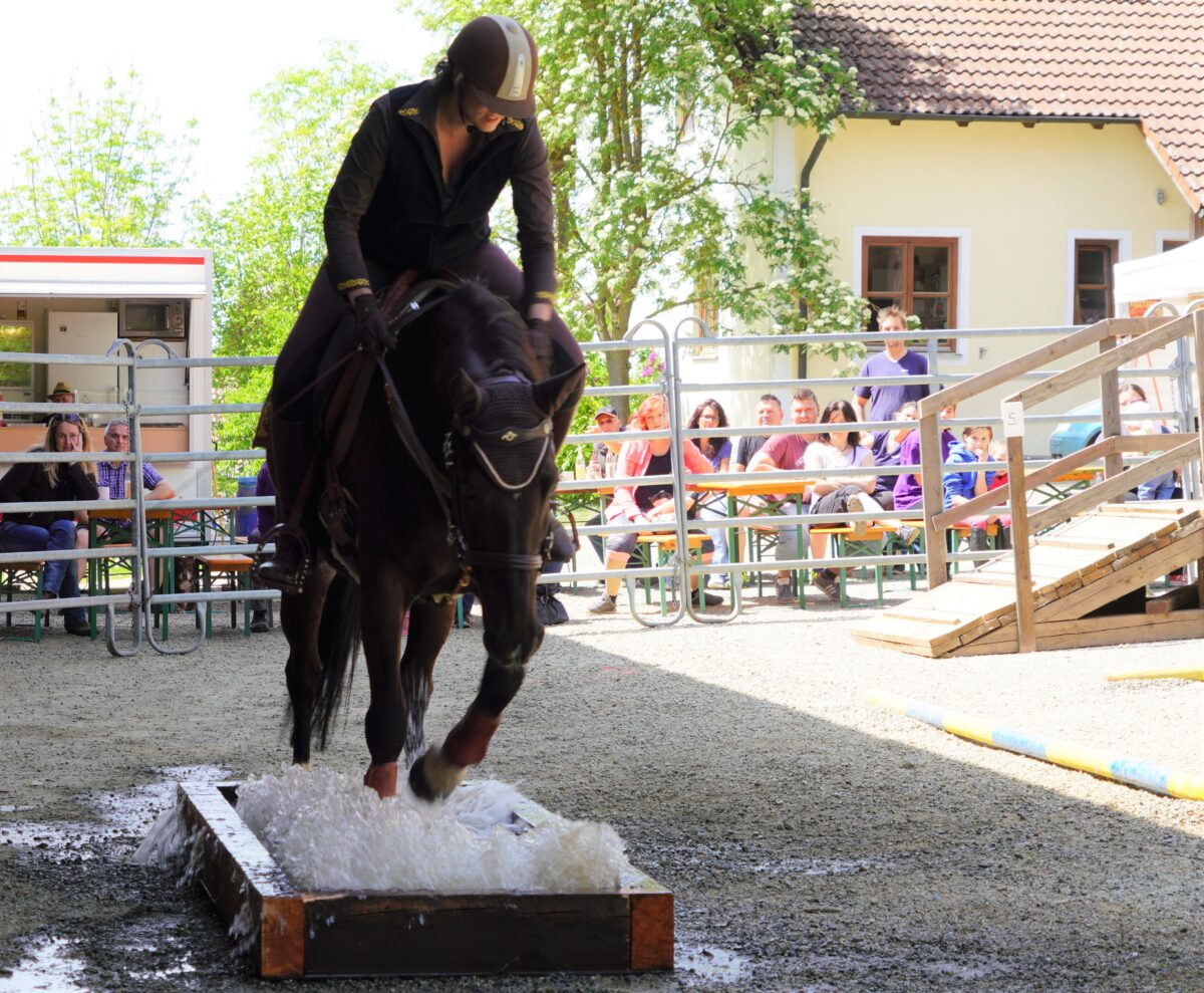 29. Trailturnier und Countryfest mit Rick Allen – Anmeldung jetzt möglich