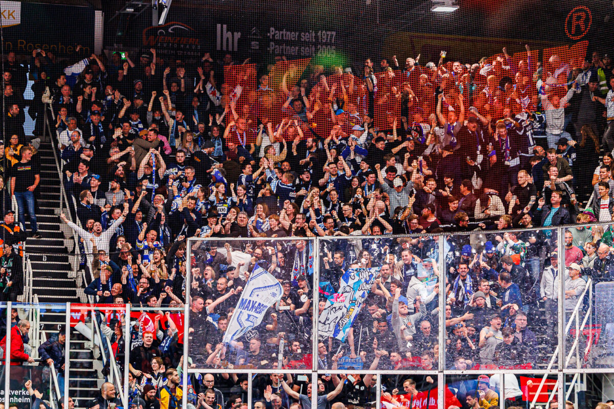 Statt den Tigers kommen die Icefighters