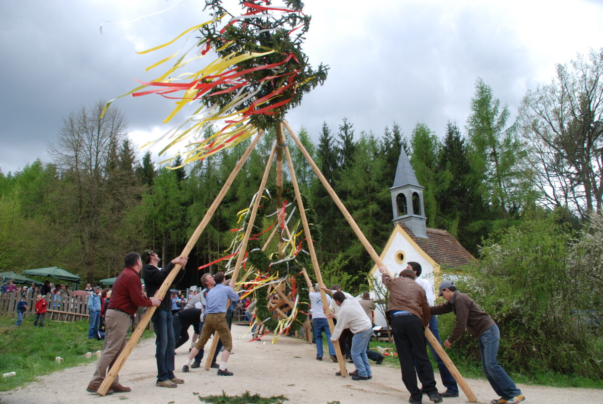 Wenn der Maibaum steht, beginnt das Frühlingserwachen im Freilandmuseum
