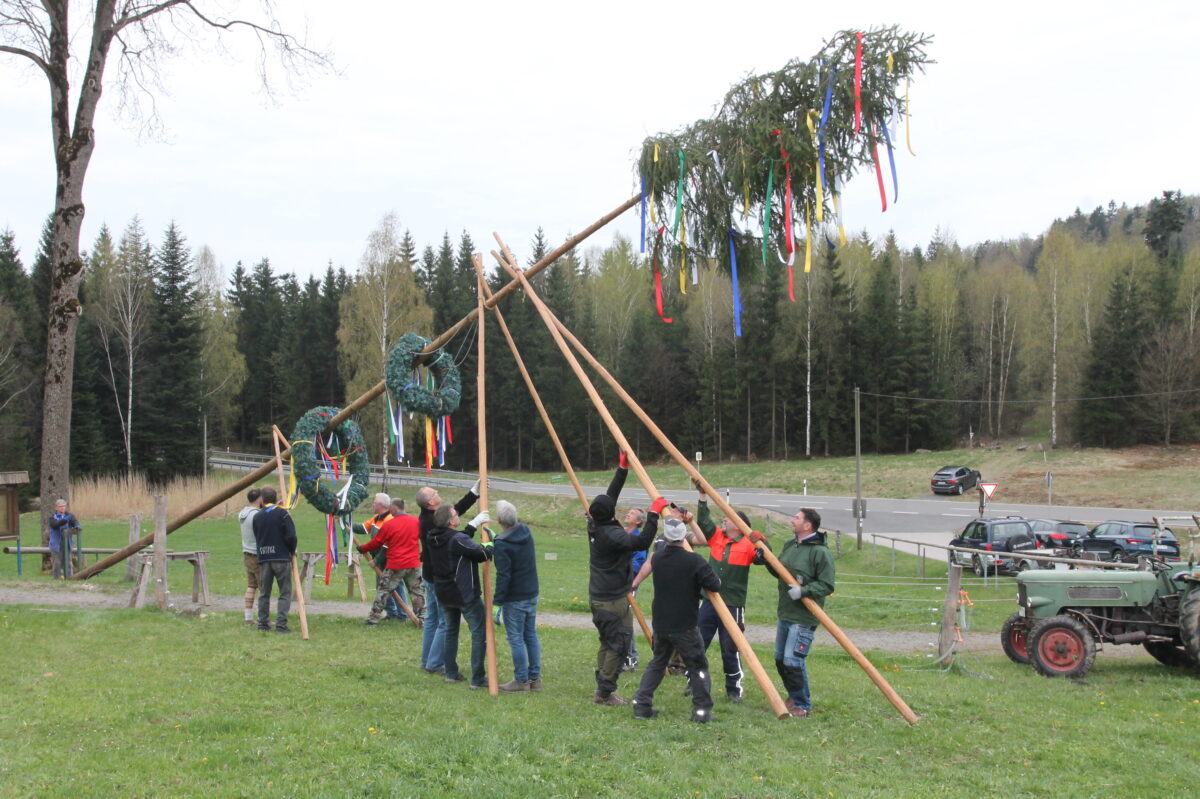 Die Maibäume sprießen regelrecht in und um Georgenberg