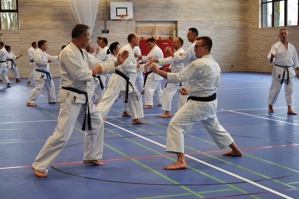 Karatetag der Superlative mit fast 100 Sportlern beim Dojo Vohenstrauß