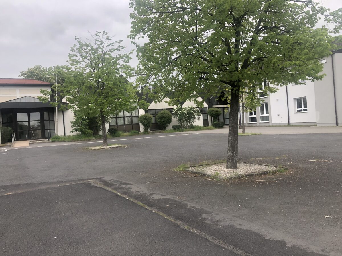 Umgestaltung des Platzes vor der Mehrzweckhalle vorgestellt