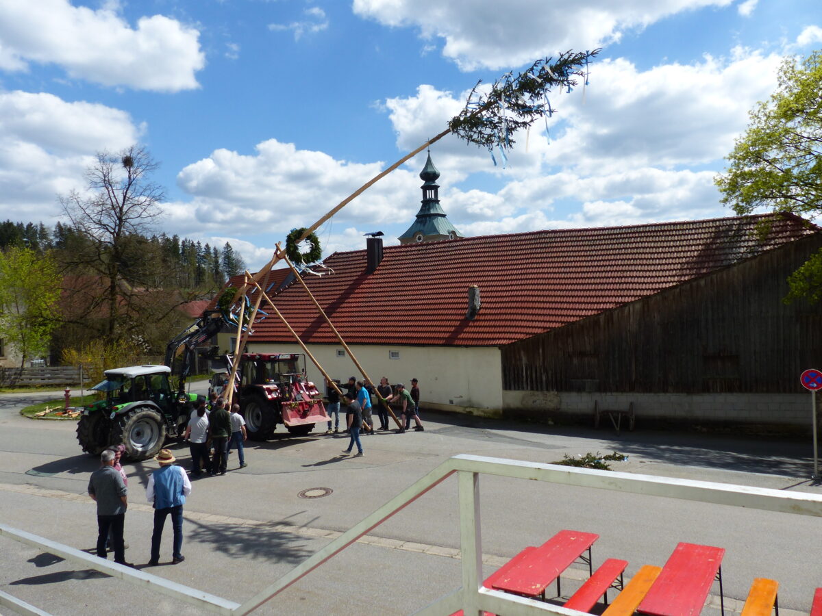 Der Maibaum in Döllnitz steht