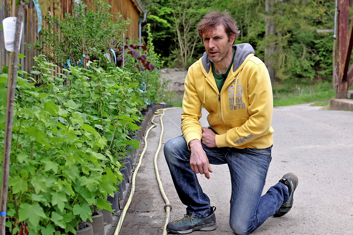 Endlich kommt der Frühling: Garten- und Pflanzentipps von der Baumschule Kahl