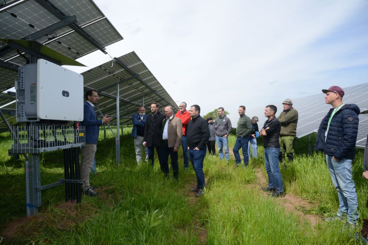 Solarpark Forsthof eingeweiht