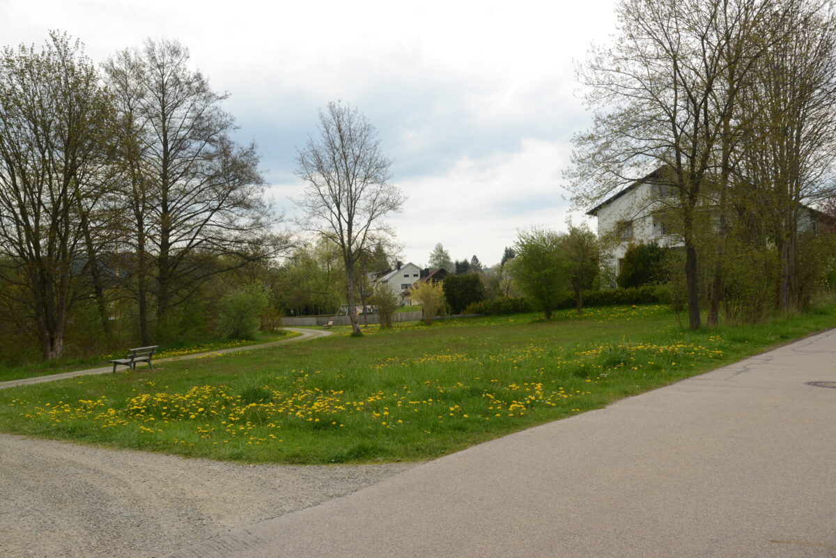 "Innen vor Außen": rege Diskussion in Pleystein