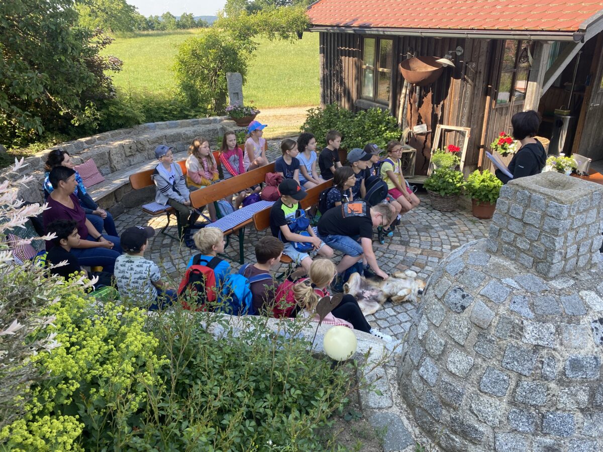 Schüler lernen auf dem Bauernhof